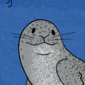 smiling harbor seal